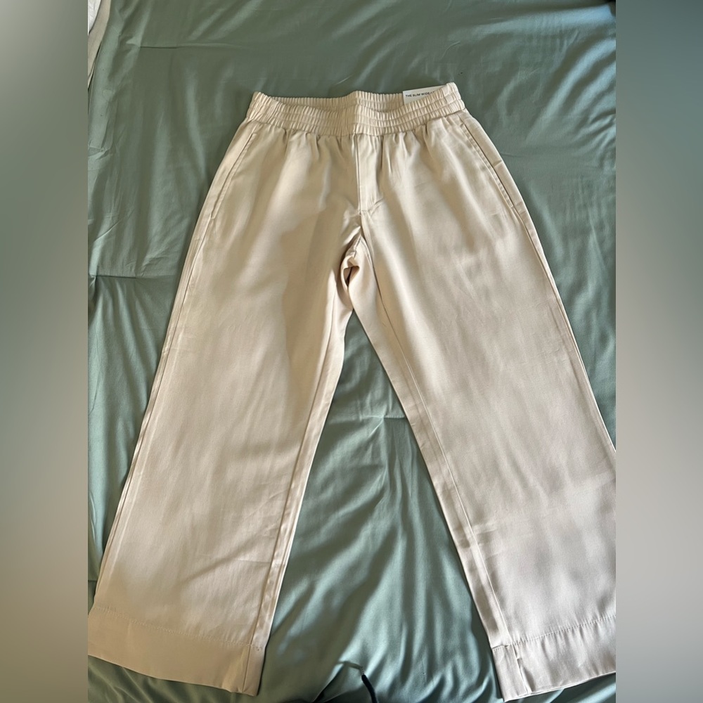 Ann Taylor Pants